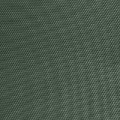 Оксфорд (Oxford) 240D 19-5917, PU/WR, 115 гр/м2, шир.150см, цвет т.зелёный - купить в Ижевске. Цена 152.54 руб.