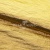 Текстильный материал "Диско"#1805 с покрытием РЕТ, 40гр/м2, 100% полиэстер, цв.5-золото - купить в Ижевске. Цена 412.36 руб.