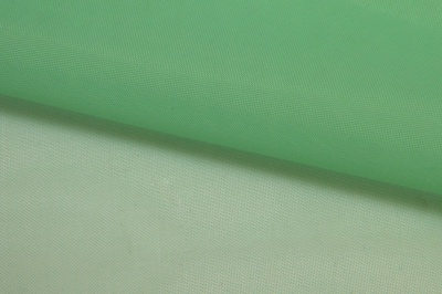 Портьерный капрон 15-6123, 47 гр/м2, шир.300см, цвет св.зелёный - купить в Ижевске. Цена 137.27 руб.