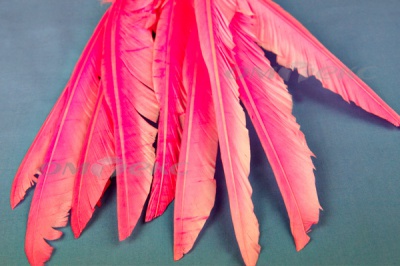 Декоративный Пучок из перьев, перо 25см/розовый - купить в Ижевске. Цена: 14.40 руб.