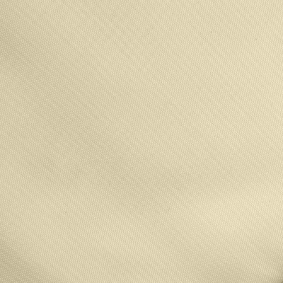 Ткань подкладочная Таффета 14-1014, антист., 53 гр/м2, шир.150см, цвет бежевый - купить в Ижевске. Цена 62.37 руб.