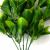 Трава искусственная -1, шт (эвкалипт лист 32 см/8 см)				 - купить в Ижевске. Цена: 169.93 руб.