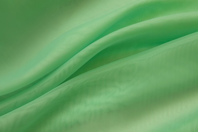 Портьерный капрон 15-6123, 47 гр/м2, шир.300см, цвет св.зелёный - купить в Ижевске. Цена 137.27 руб.
