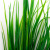 Трава искусственная -2, шт (осока 41см/8 см)				 - купить в Ижевске. Цена: 104.57 руб.