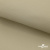 Ткань подкладочная TWILL 230T 14-1108, беж светлый 100% полиэстер,66 г/м2, шир.150 cм - купить в Ижевске. Цена 90.59 руб.