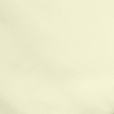 Ткань подкладочная Таффета 12-0703, антист., 53 гр/м2, шир.150см, цвет св.бежевый - купить в Ижевске. Цена 62.37 руб.