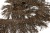 008-коричневый, Бахрома арт.001 шир.10см (упак.12+/-0,5м) - купить в Ижевске. Цена: 1 017.33 руб.