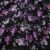 Плательная ткань "Фламенко" 20.1, 80 гр/м2, шир.150 см, принт растительный - купить в Ижевске. Цена 241.49 руб.