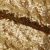 Сетка с пайетками №3, 188 гр/м2, шир.140см, цвет золотой - купить в Ижевске. Цена 454.12 руб.