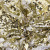 Трикотажное полотно, Сетка с пайетками, шир.130 см, #315, цв.-белый/золото - купить в Ижевске. Цена 693.39 руб.