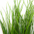 Трава искусственная -4, шт  (осока 50 см/8 см  7 листов)				 - купить в Ижевске. Цена: 130.73 руб.