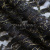 Кружевное полотно XD LACE 1-4, 80 гр/м2, шир.150см, цвет чёрный - купить в Ижевске. Цена 245.94 руб.